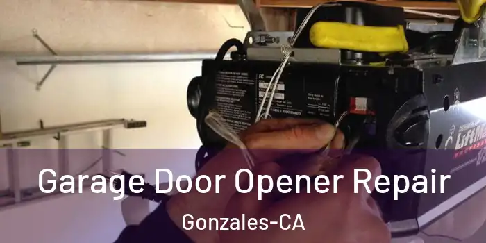  Garage Door Opener Repair Gonzales-CA