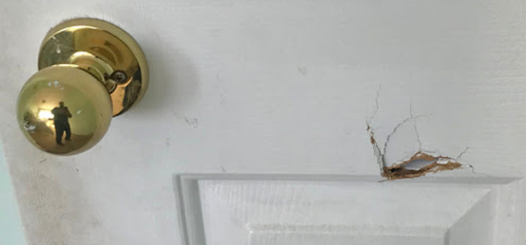 interior door hole repair Gonzales